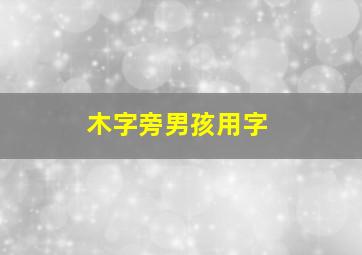 木字旁男孩用字