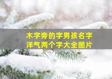 木字旁的字男孩名字洋气两个字大全图片