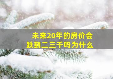 未来20年的房价会跌到二三千吗为什么