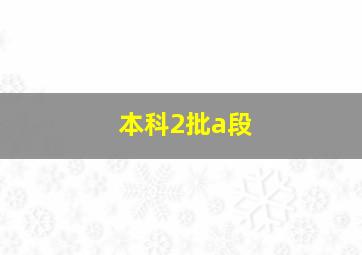 本科2批a段