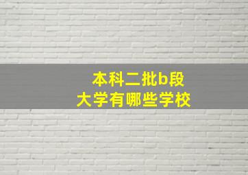 本科二批b段大学有哪些学校