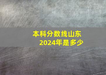 本科分数线山东2024年是多少