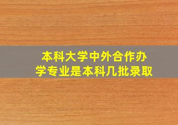 本科大学中外合作办学专业是本科几批录取