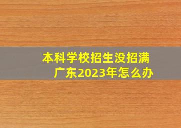 本科学校招生没招满广东2023年怎么办