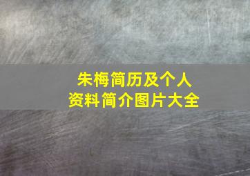 朱梅简历及个人资料简介图片大全