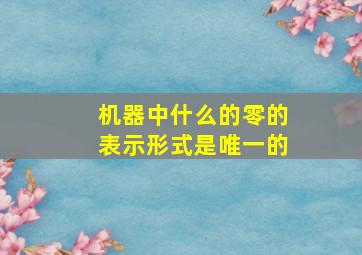 机器中什么的零的表示形式是唯一的