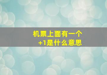 机票上面有一个+1是什么意思