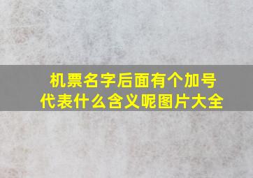 机票名字后面有个加号代表什么含义呢图片大全