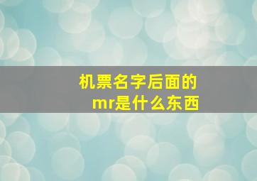 机票名字后面的mr是什么东西