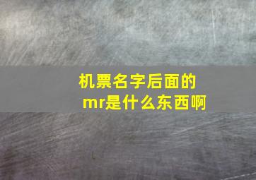 机票名字后面的mr是什么东西啊