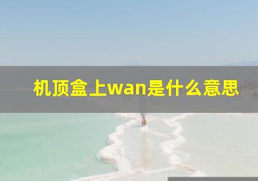 机顶盒上wan是什么意思