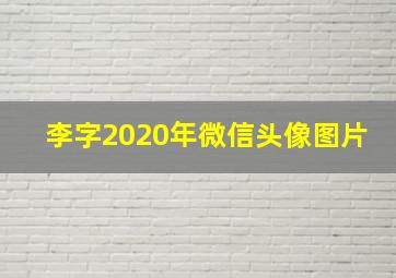 李字2020年微信头像图片