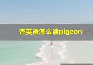 杏英语怎么读pigeon