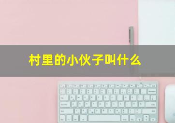 村里的小伙子叫什么