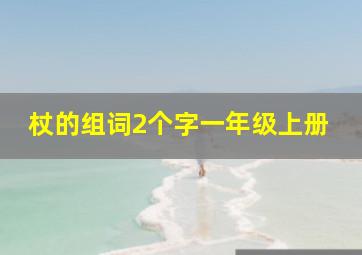 杖的组词2个字一年级上册