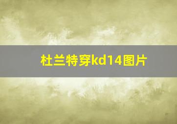 杜兰特穿kd14图片