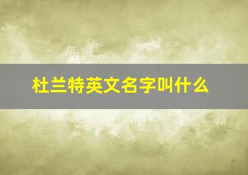 杜兰特英文名字叫什么