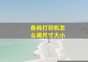 条码打印机怎么调尺寸大小