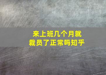 来上班几个月就裁员了正常吗知乎