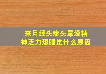 来月经头疼头晕没精神乏力想睡觉什么原因