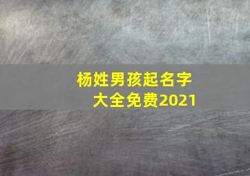 杨姓男孩起名字大全免费2021