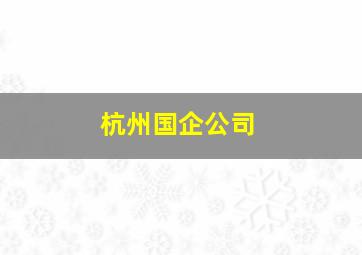 杭州国企公司