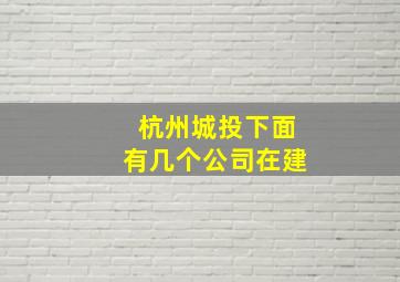 杭州城投下面有几个公司在建