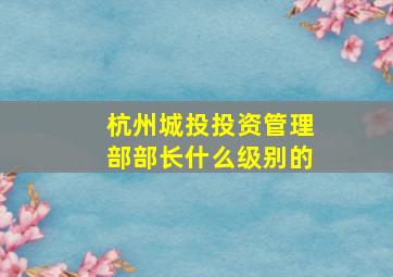 杭州城投投资管理部部长什么级别的