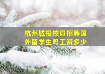 杭州城投校园招聘国外留学生吗工资多少