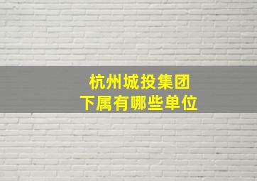 杭州城投集团下属有哪些单位