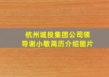 杭州城投集团公司领导谢小敏简历介绍图片