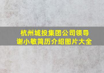 杭州城投集团公司领导谢小敏简历介绍图片大全