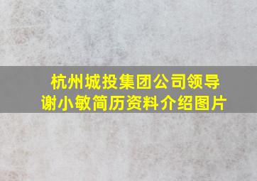 杭州城投集团公司领导谢小敏简历资料介绍图片