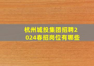 杭州城投集团招聘2024春招岗位有哪些