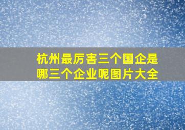 杭州最厉害三个国企是哪三个企业呢图片大全