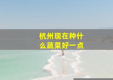 杭州现在种什么蔬菜好一点