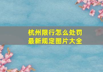 杭州限行怎么处罚最新规定图片大全