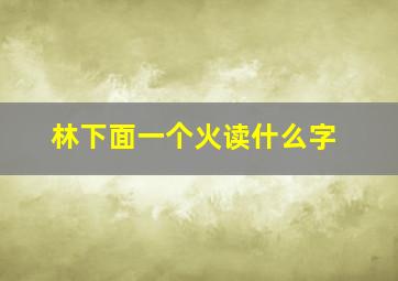 林下面一个火读什么字