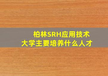 柏林SRH应用技术大学主要培养什么人才