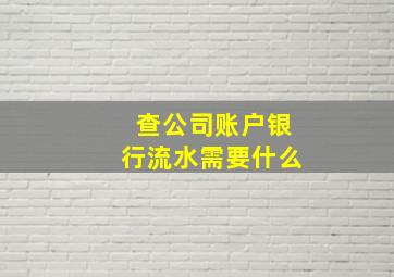 查公司账户银行流水需要什么