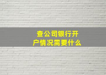 查公司银行开户情况需要什么