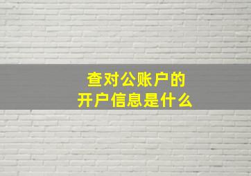 查对公账户的开户信息是什么