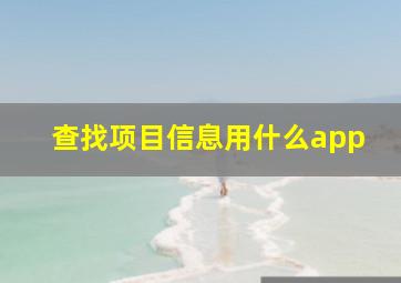 查找项目信息用什么app