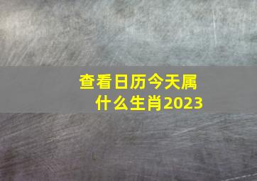 查看日历今天属什么生肖2023