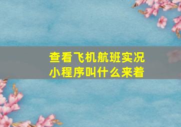 查看飞机航班实况小程序叫什么来着