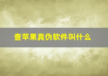 查苹果真伪软件叫什么