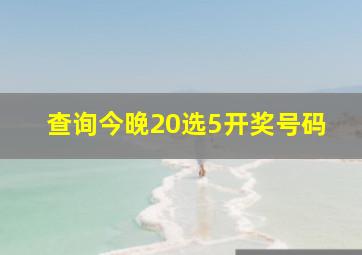 查询今晚20选5开奖号码