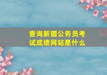 查询新疆公务员考试成绩网站是什么