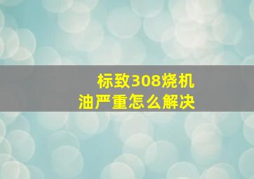 标致308烧机油严重怎么解决