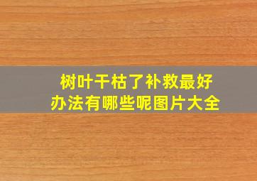 树叶干枯了补救最好办法有哪些呢图片大全